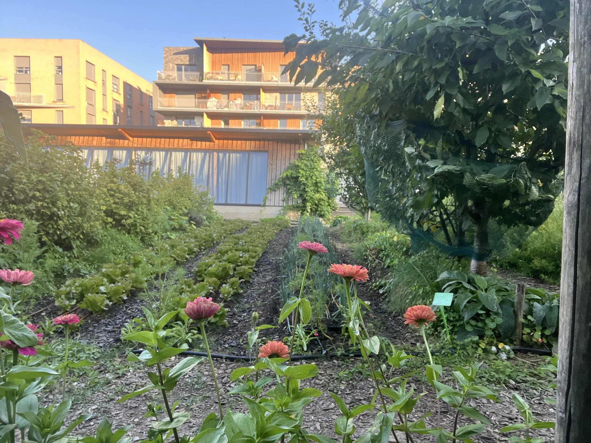 IMG_8932 Planches et cabane FND Crédit Gilles Degroote.JPG