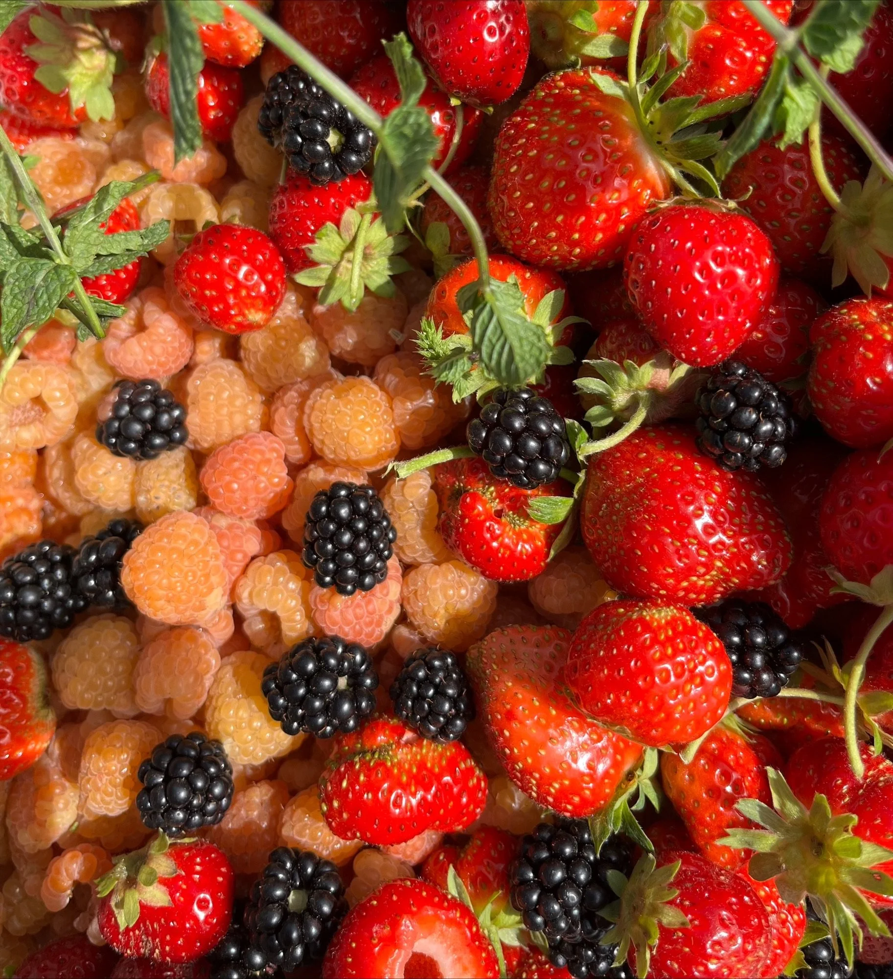Framboises mures fraises.jpeg