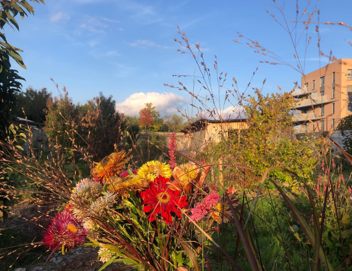 Capture d’écran 2023-06-05 121026.png