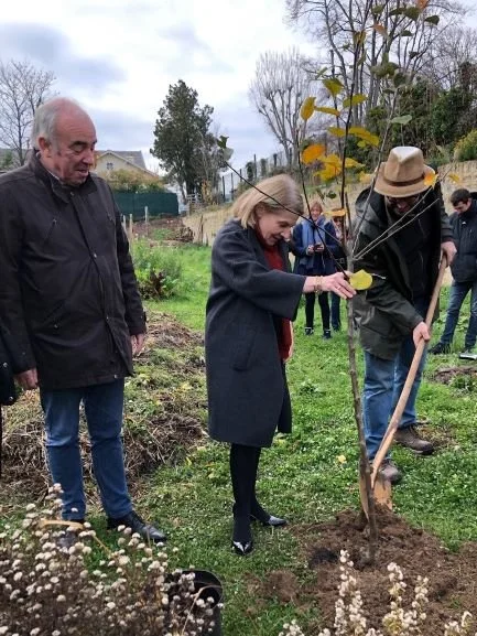 Plantation d'arbre C.Pegard.jpg