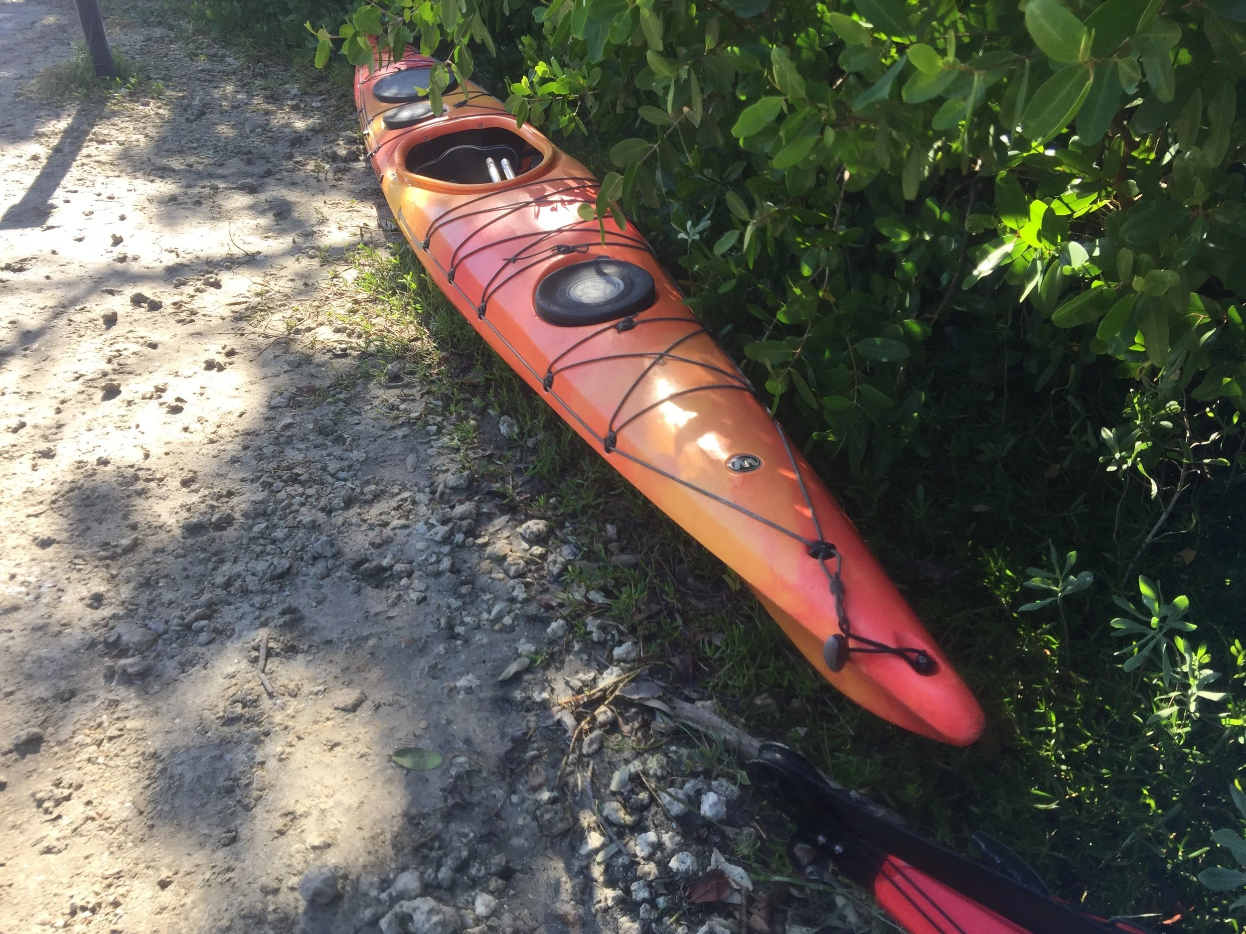 Back to the Creek