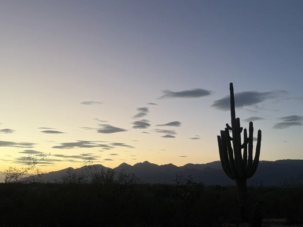 Dusk in the Desert