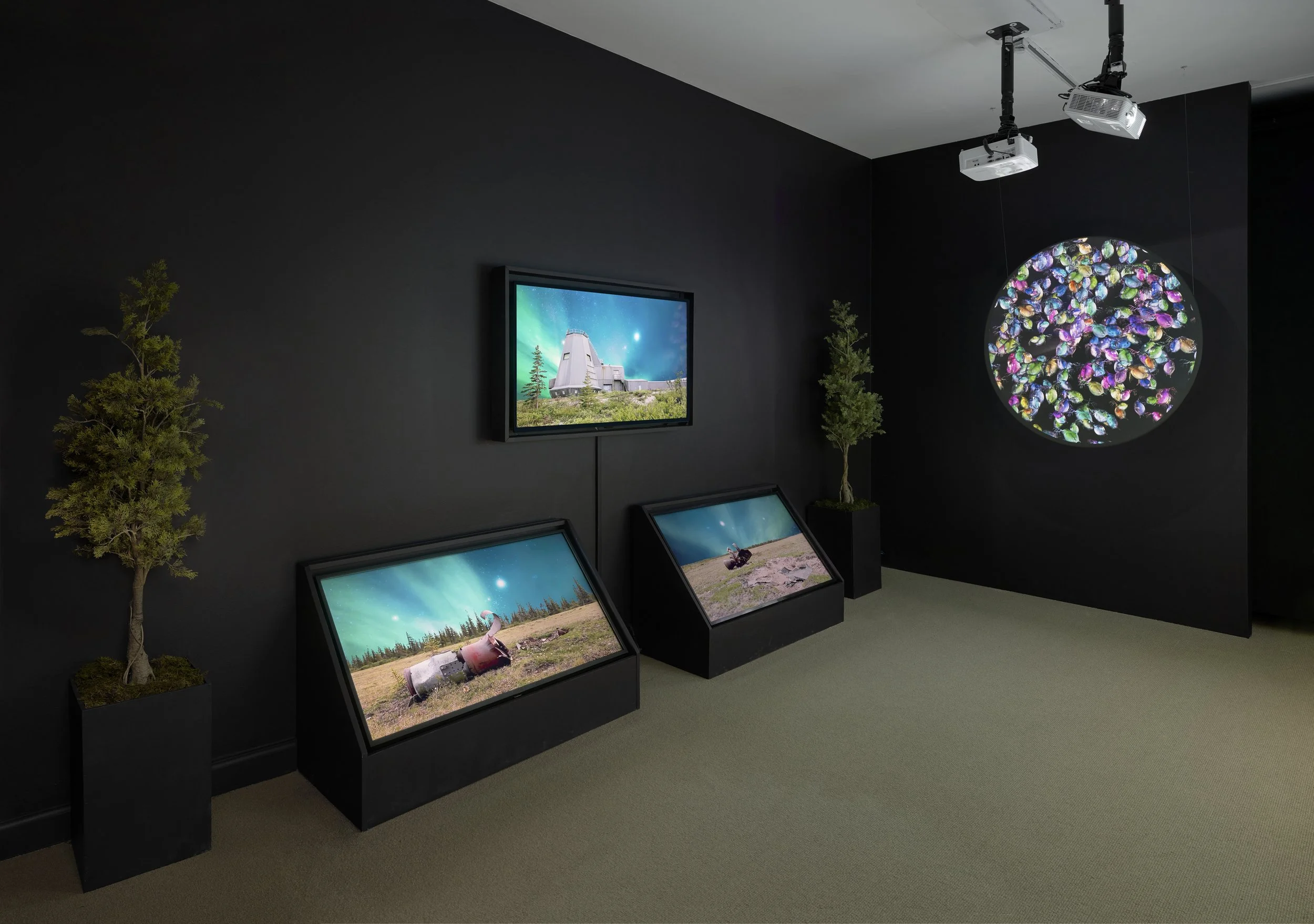 “All That Moves” by Allison Maria Rodriguez, video installation documentation at the 2022 New England Triennial, deCordova Sculpture Park and Museum, photo by Julia Featheringill