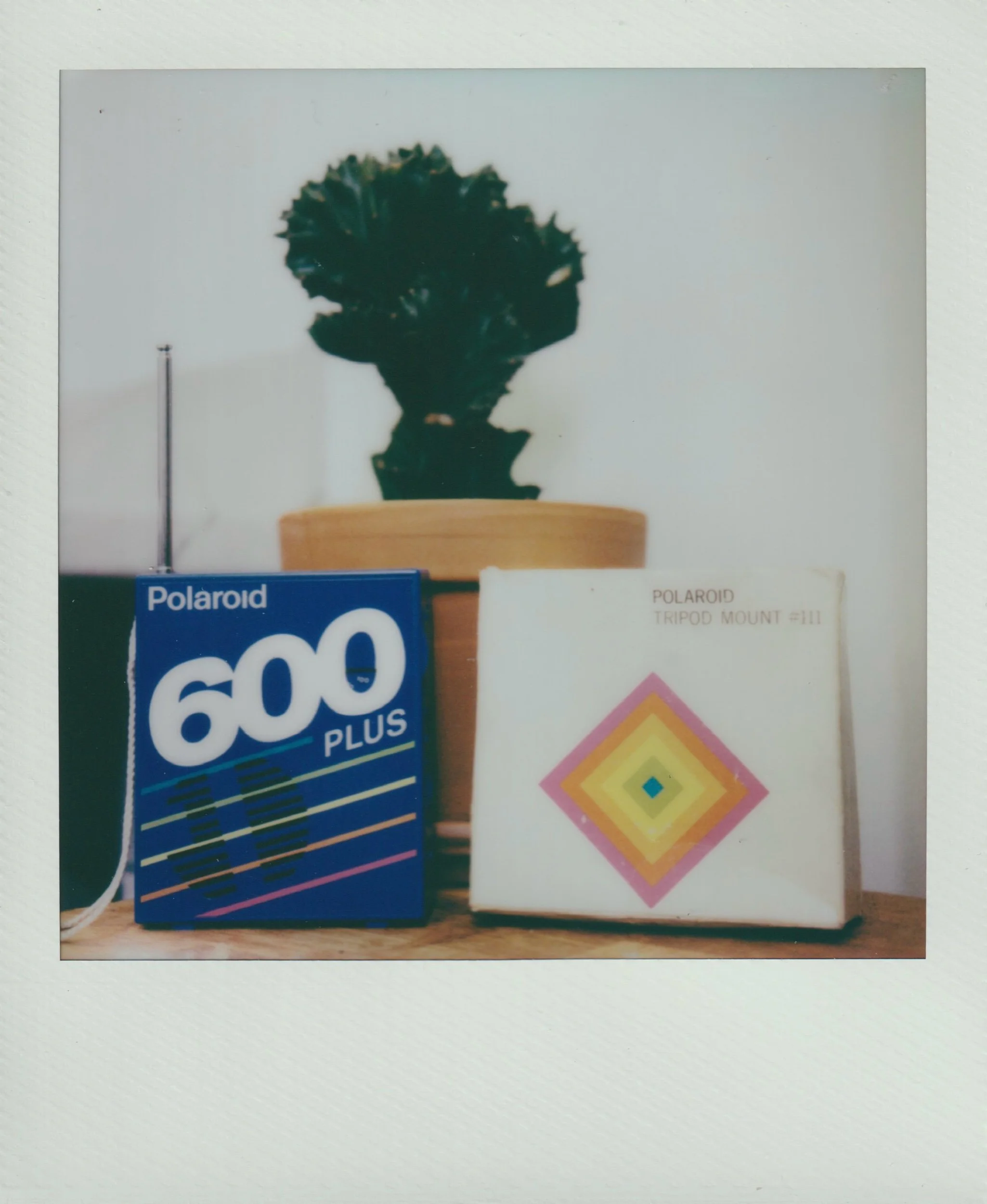 91BE8B03-1E94-495B-9F40-27EA2180D358.jpeg