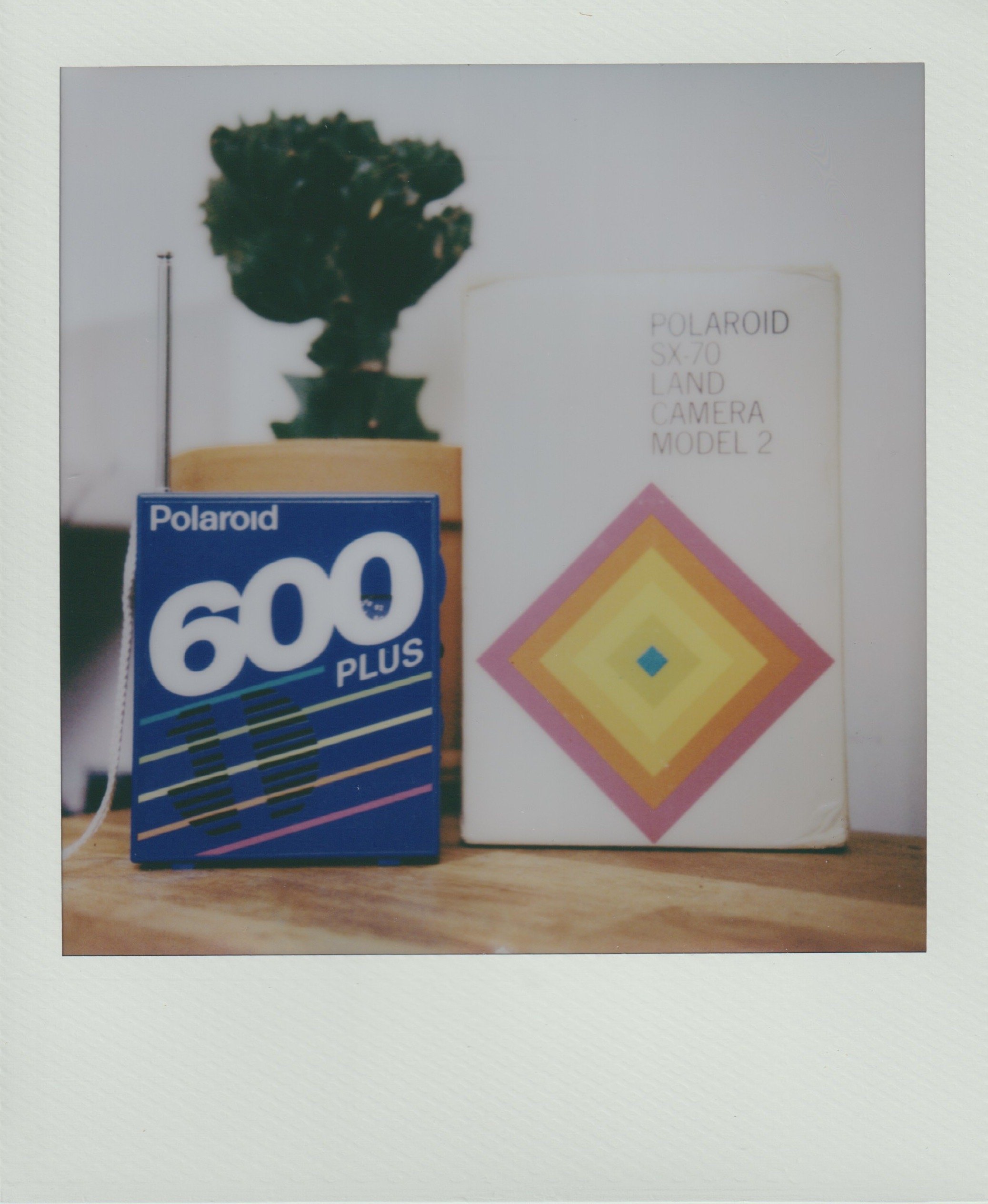Scan 1.jpeg