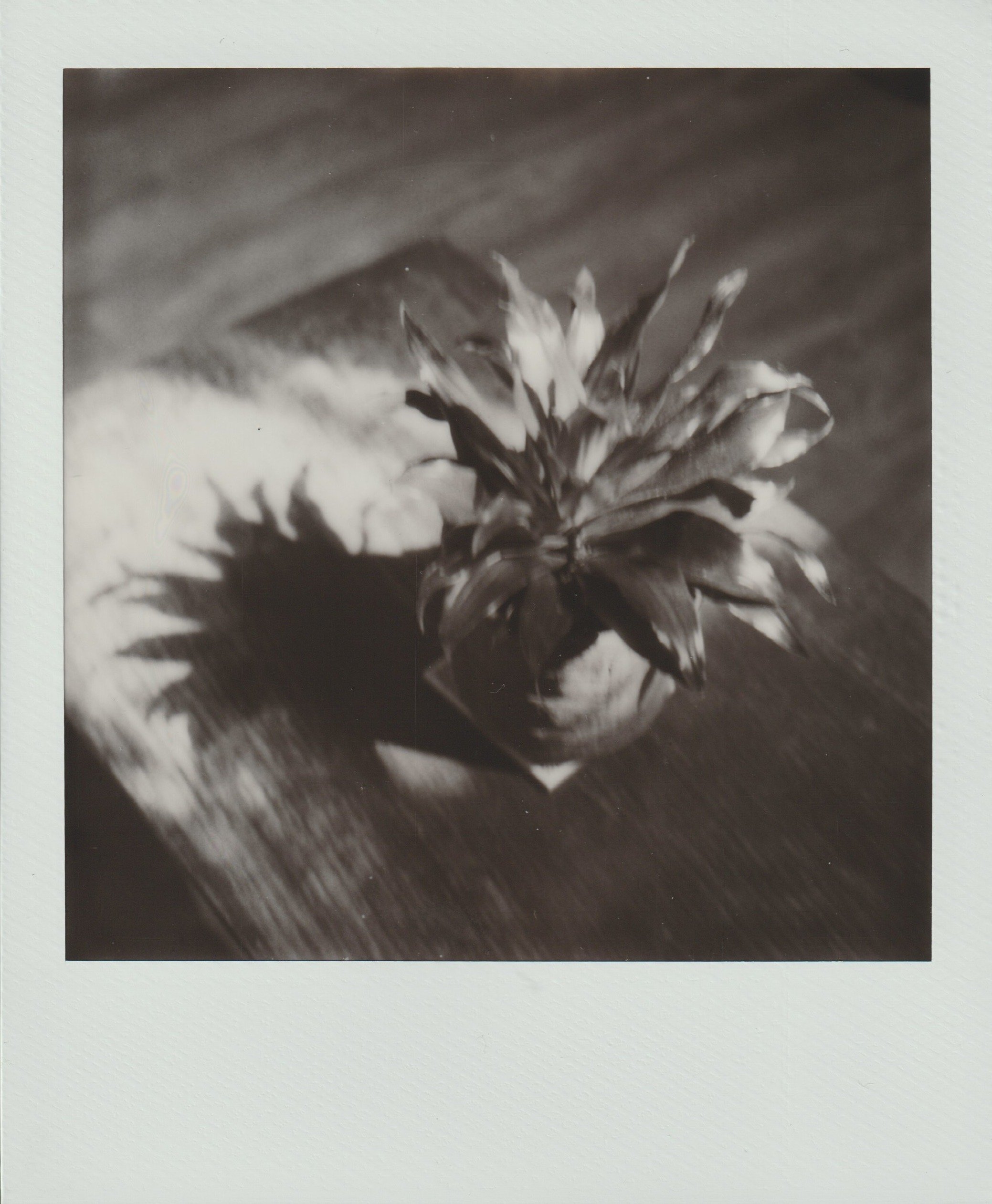 Scan 1.jpeg