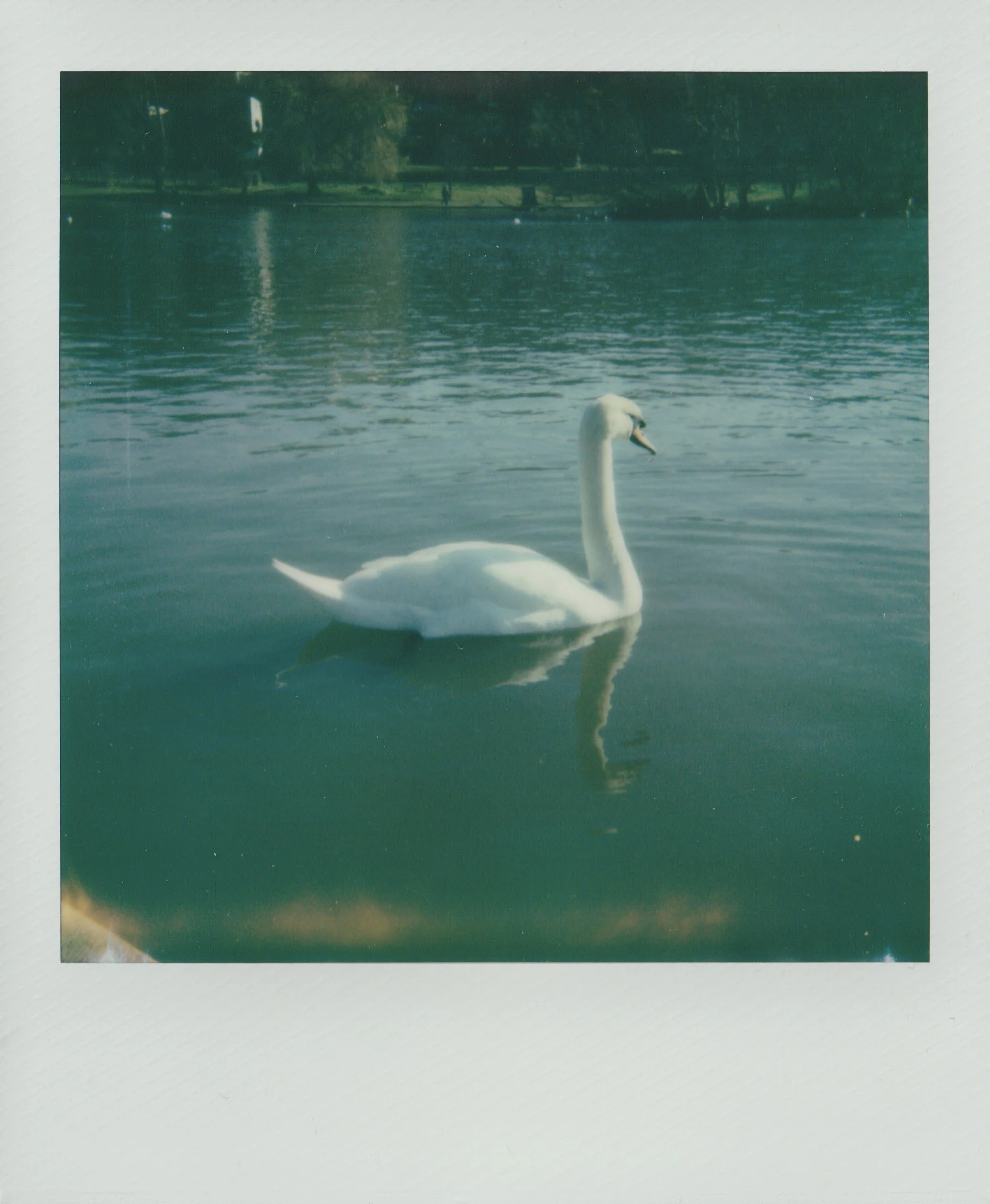 Test Shot For Polaroid Sun 660 Autofocus 600 Instant Film Camera