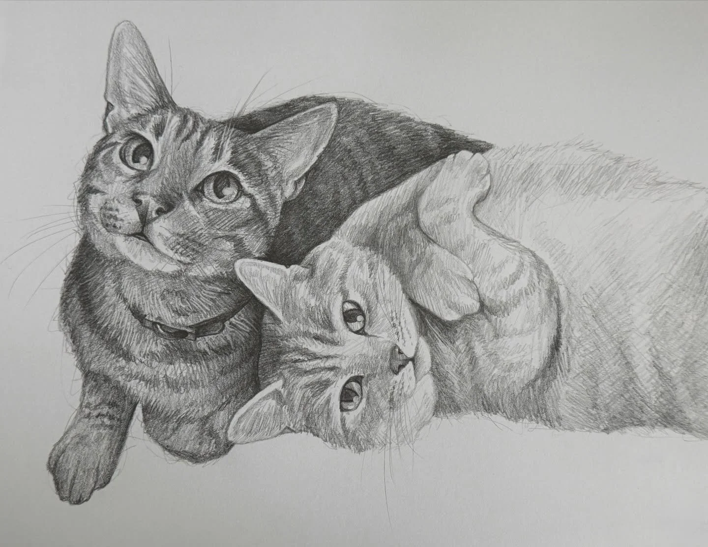Behind every drawing is a really bad photoshop job. 

Commission piece: graphite 11 x 8.5 inches on paper