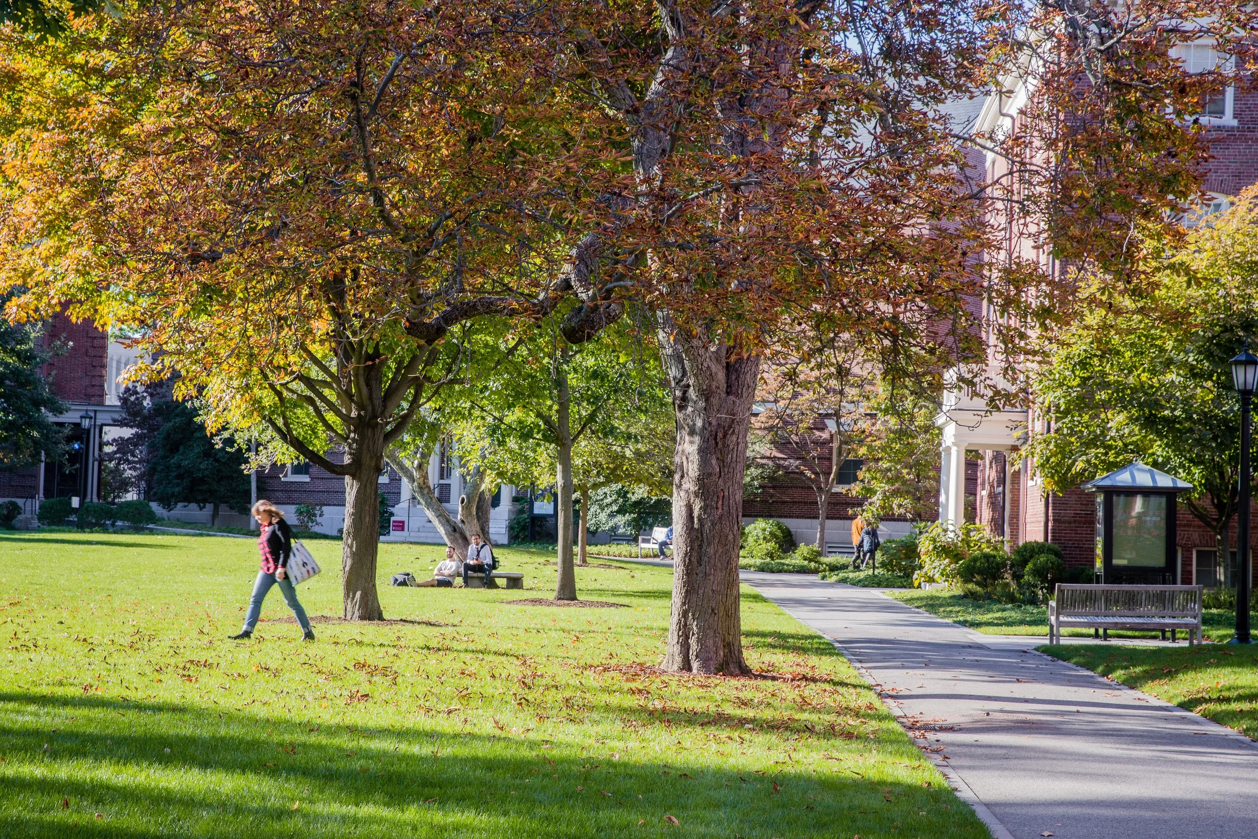 Harvard Radcliffe ND afternoon-0193.jpg