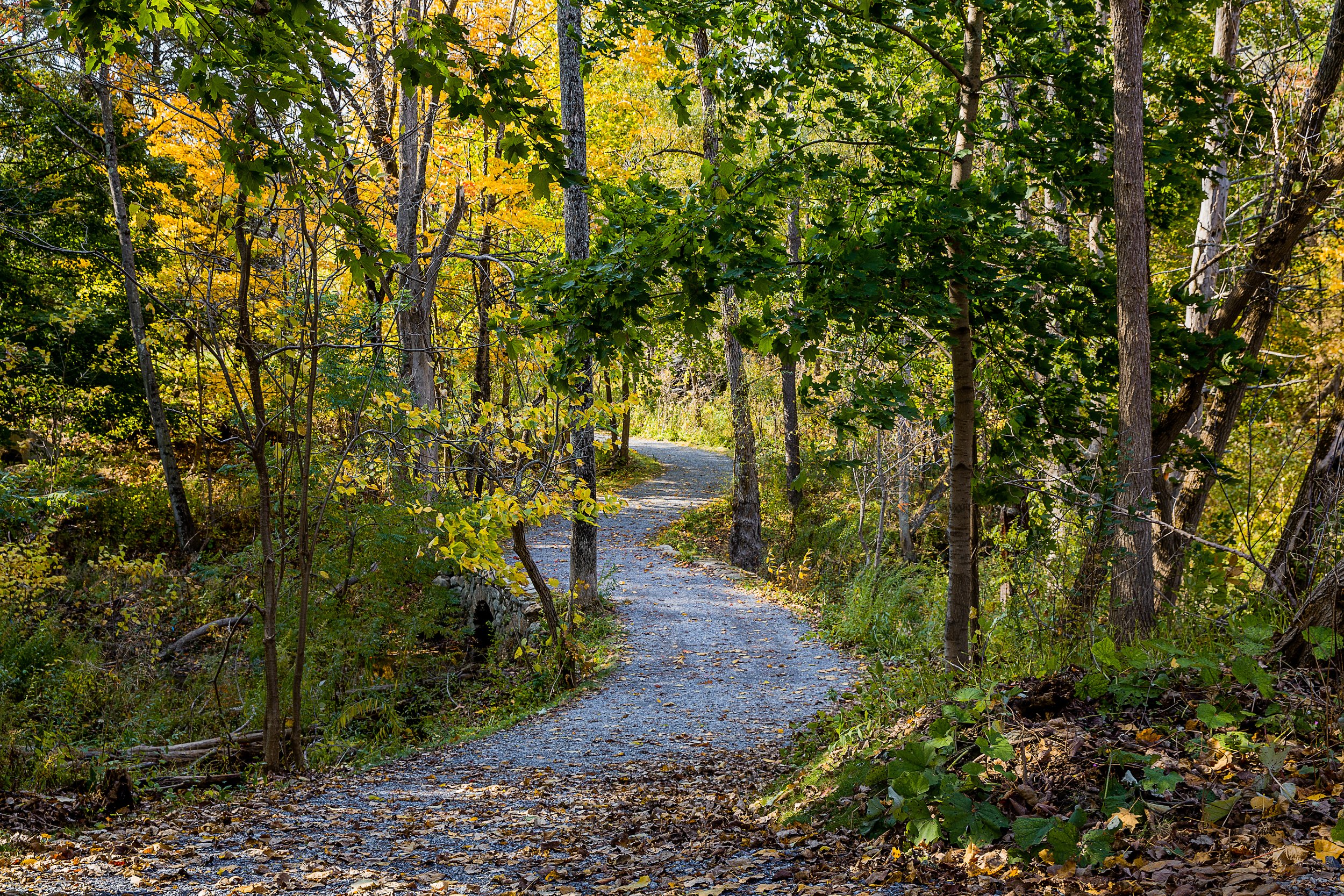 STIMSON Williams Inn ND-7192 web.jpg