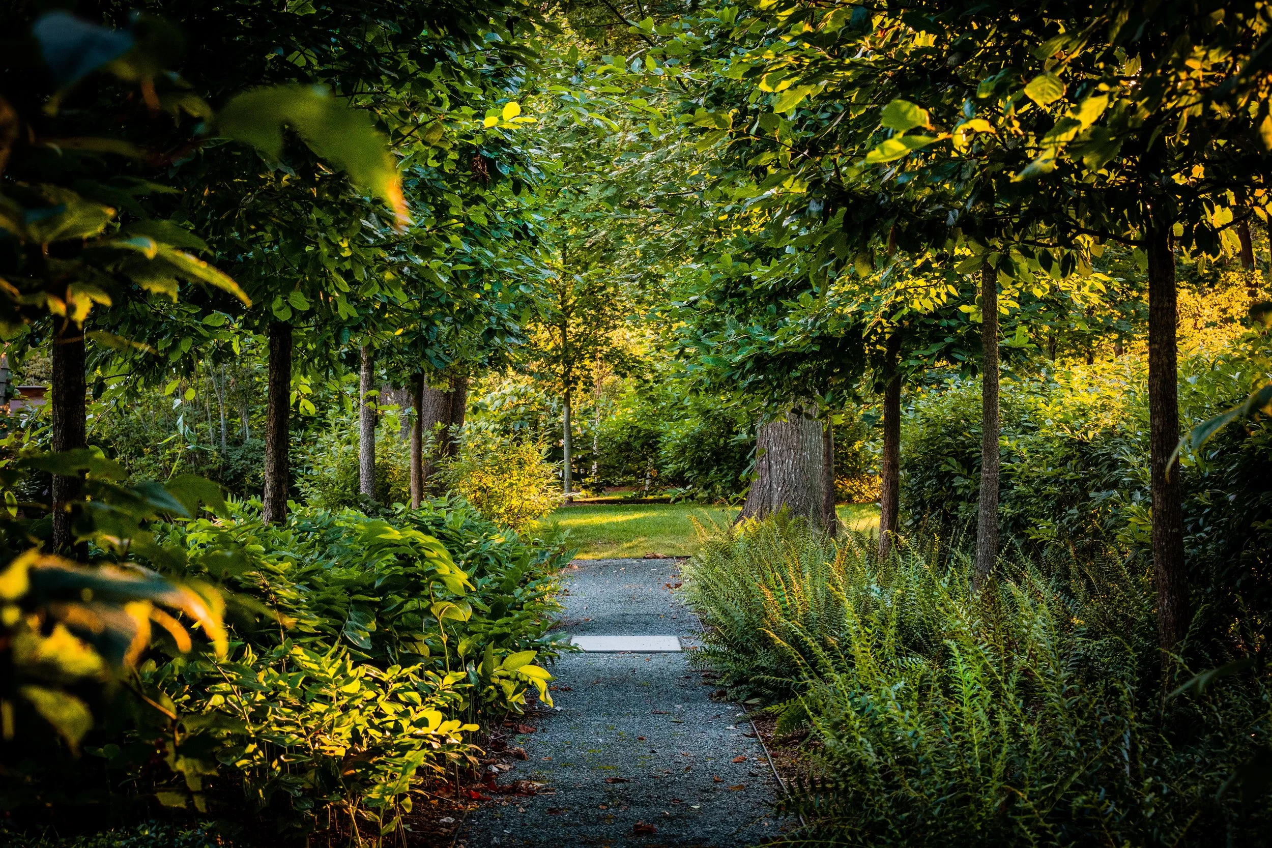 STIMSON Tadler Residence-3479 copy.jpeg