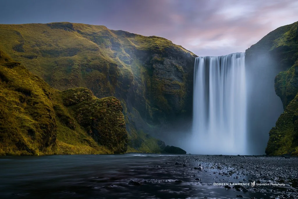 Member Profile- Meet Doreen Lawrence 