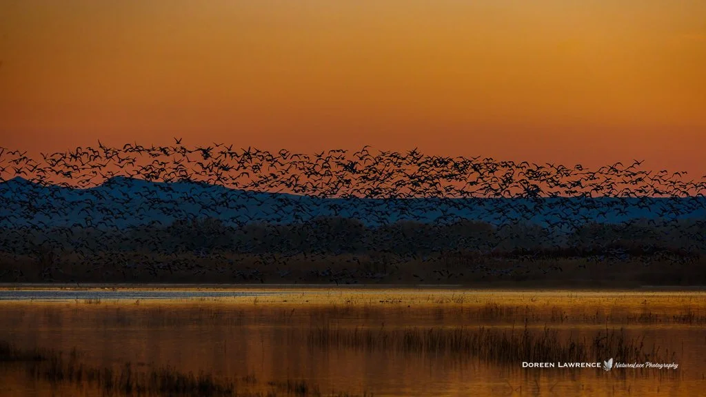 Bosque Mass Ascencion.jpg