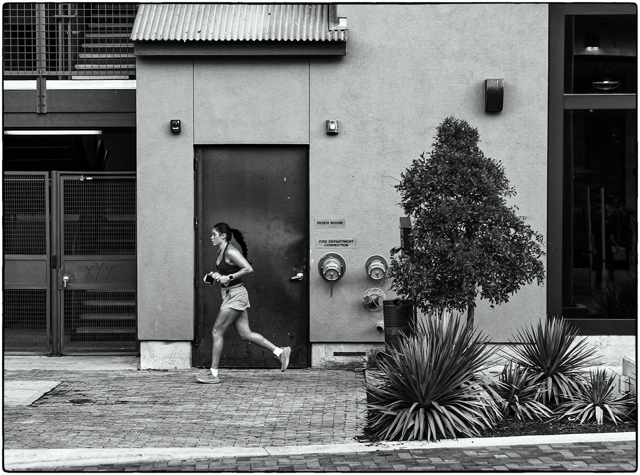 Early morning run at the pearl.jpg