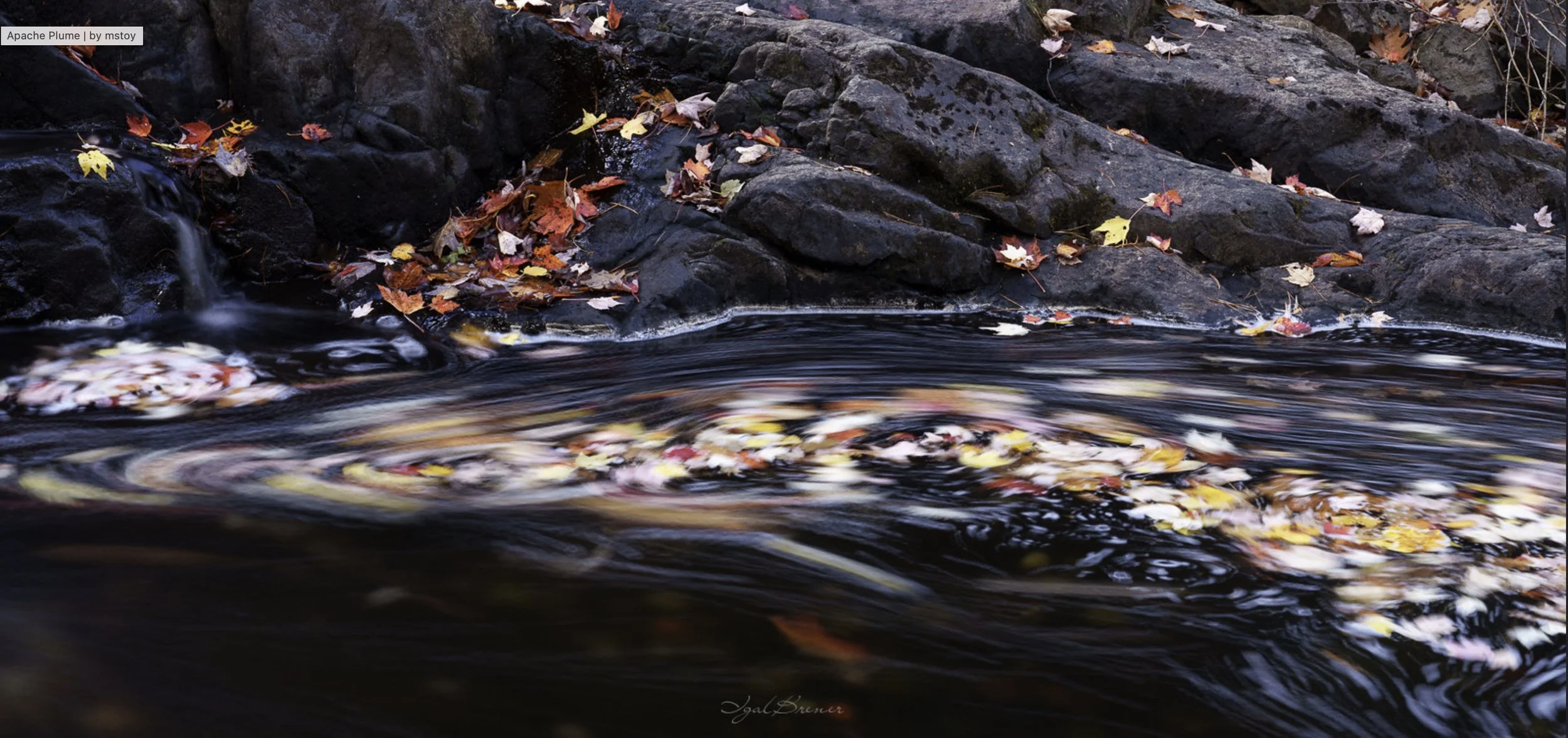 Igal Brener has a particular talent for how he captures waterfalls and flowing waters.  This particular image used a long exposure to accentuate the currents as they carried the fall leaves.
You can find more of his work at https://igalbrenerphoto.co