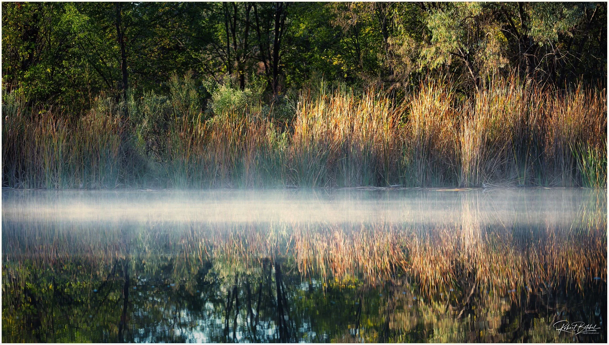 An early morning view of one of the Tingley ponds in Albuquerque New Mexico as the last remnants of mist are lifting from the water.
