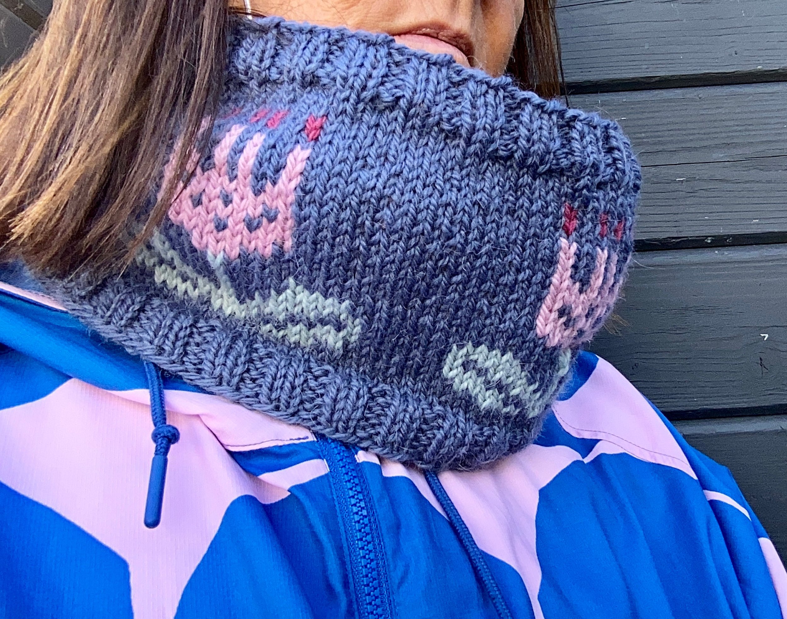 https://i.etsystatic.com/23716442/r/il/5a06a8/4244317247/il_fullxfull.4244317247_3rtf.jpg