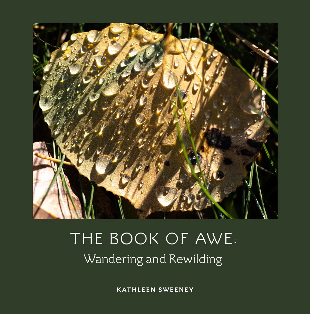 The Book of Awe: Wandering and Rewilding