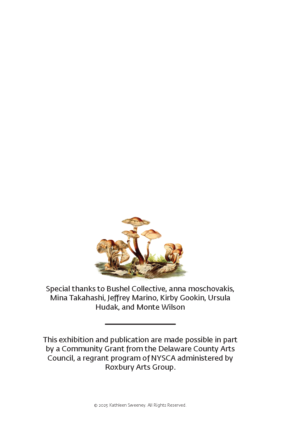 SymbioCAT_GP_upload_file_sm_Page_03.png