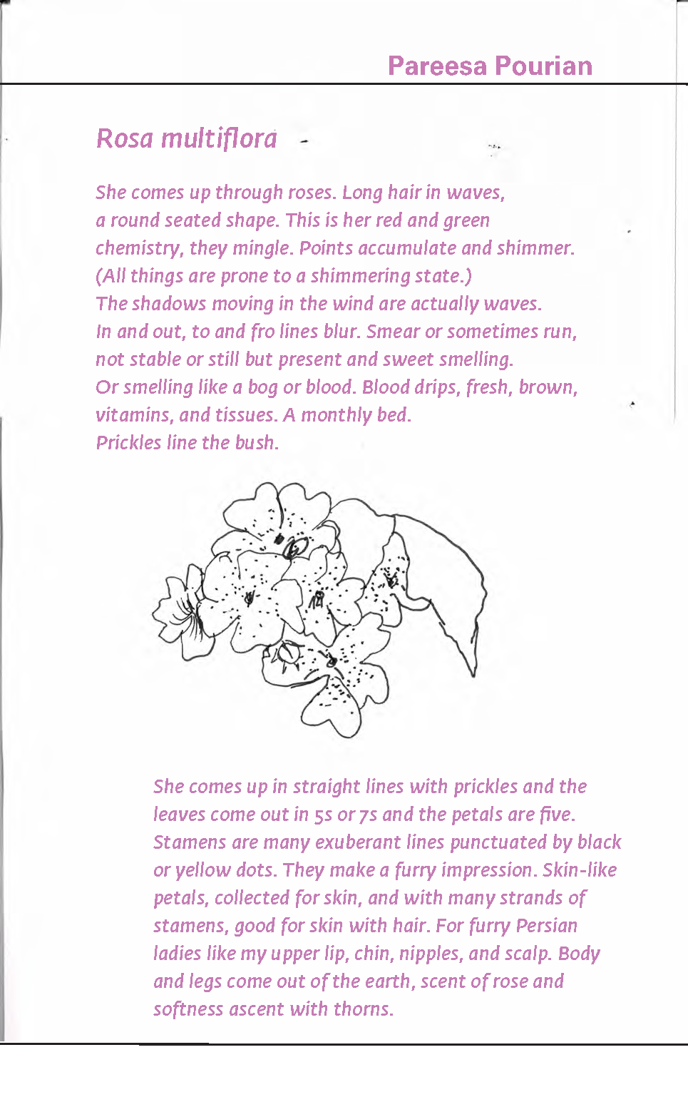 SymbioCAT_GP_upload_file_sm_Page_49.png