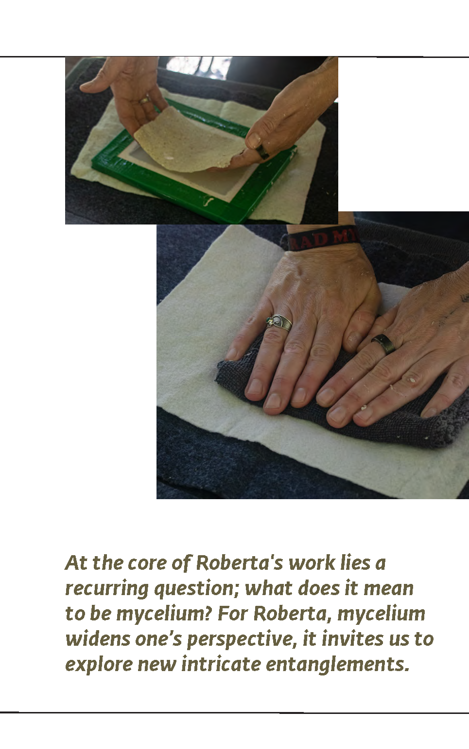 SymbioCAT_GP_upload_file_sm_Page_54.png