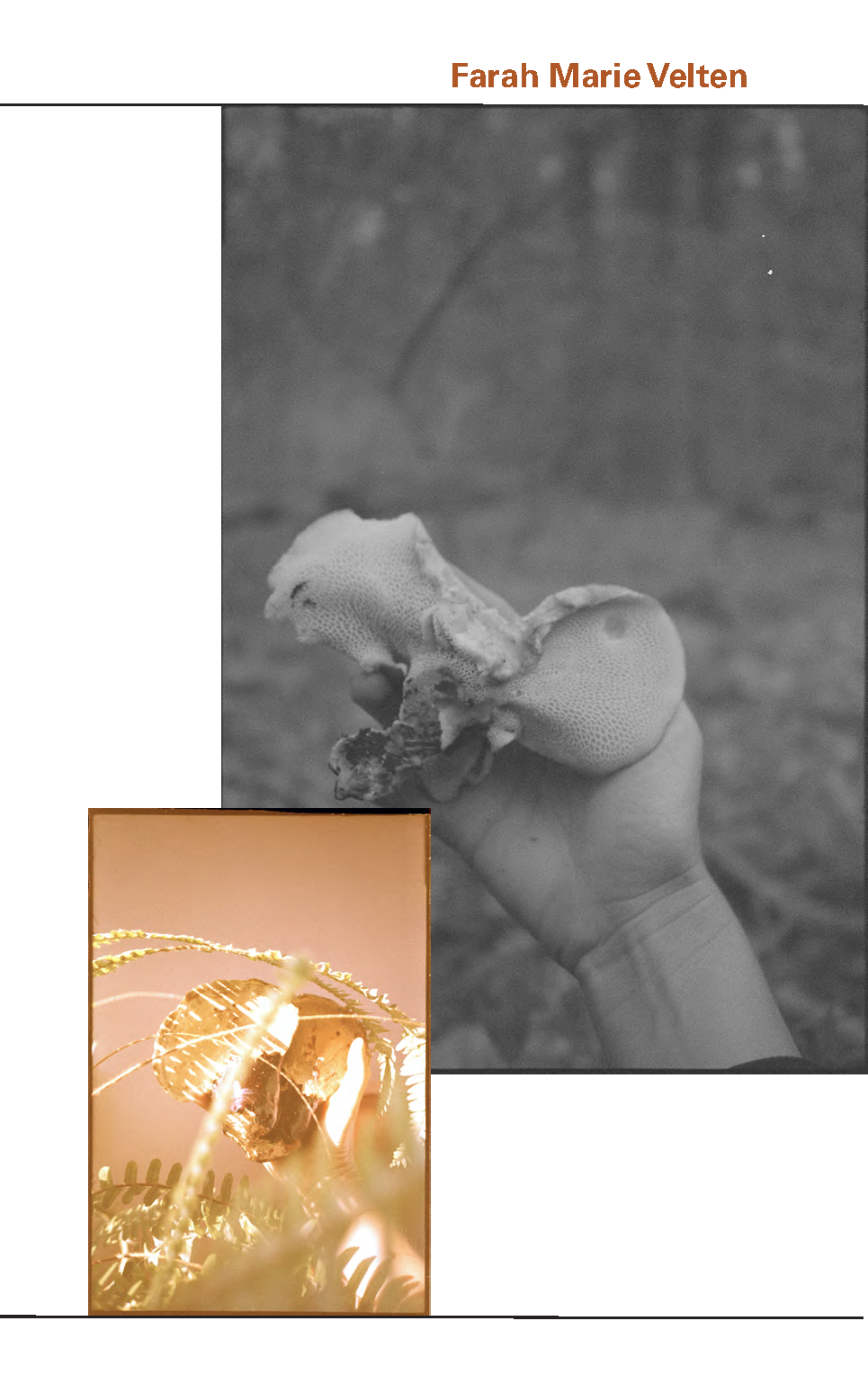 SymbioCAT_GP_upload_file_sm_Page_57.png