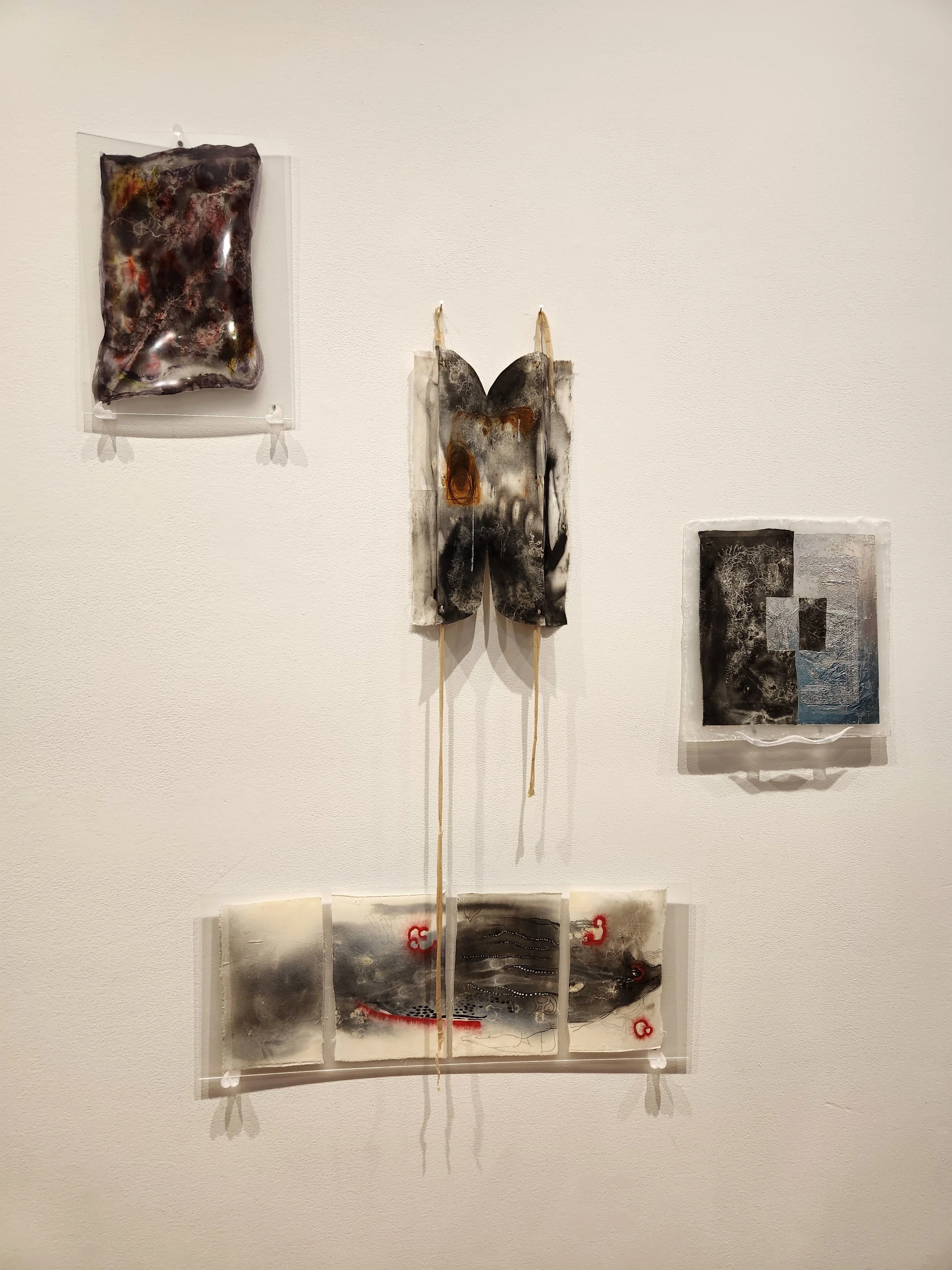 Photo by Christein Aromando