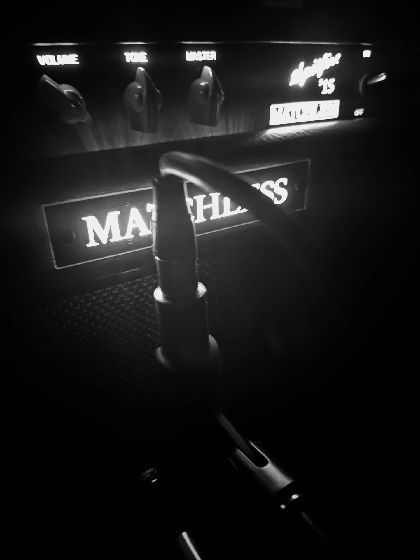 Working on some new captures. Everybody has their own approach, this is what makes captures unique. There are a million ways to mic an amp and route signal. I used to fish my way through hundreds of profiles before settling on a handful that I really