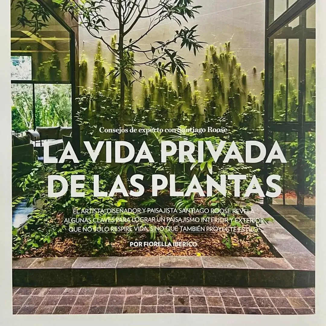 Empezar a reconocer y replicar el h&aacute;bitat natural de las plantas aplicando la observaci&oacute;n detallada de cada especie en su entorno natural es comprender sus necesidades espec&iacute;ficas para su crecimiento donde  lograr&aacute;s que tu