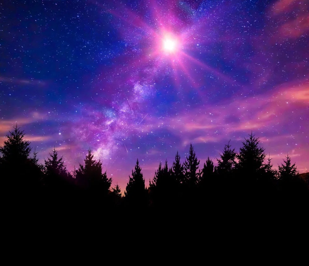 A bright star rising over a violet night sky and a pine forest