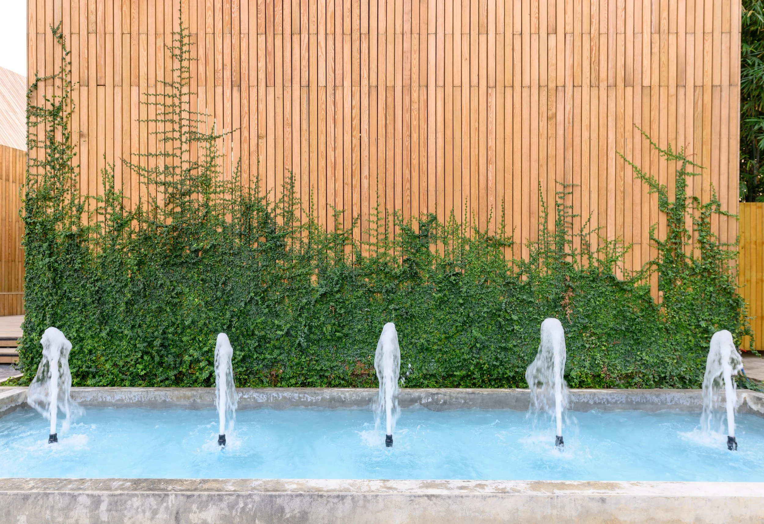fountains-splashing-on-pond-with-wooden-ivy-plant-2023-11-27-04-53-59-utc.jpg