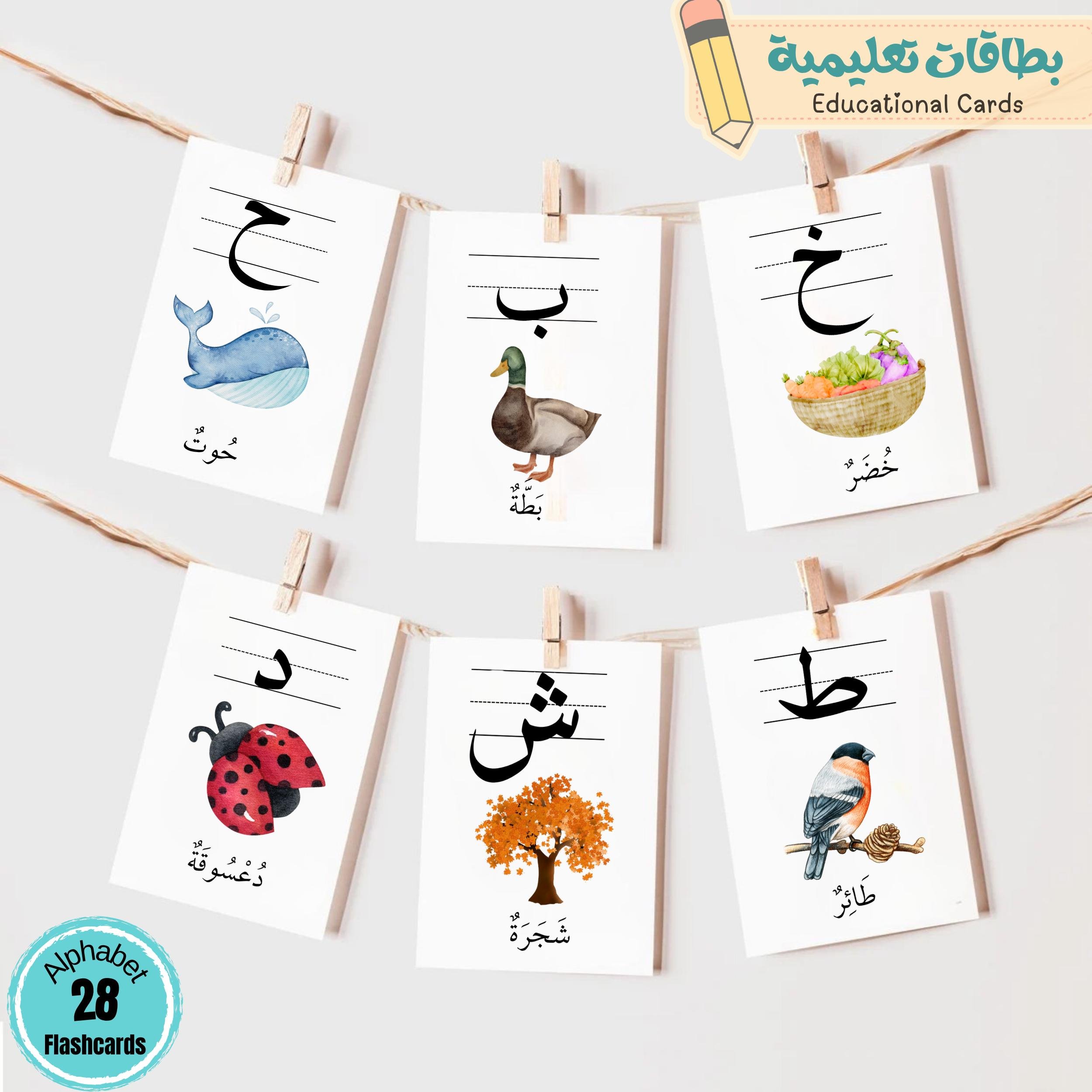 https://i.etsystatic.com/27563841/r/il/27ad2a/7083438337/il_fullxfull.7083438337_ayu5.jpg