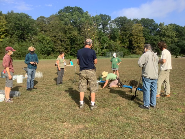 Clifford Park Food Forest