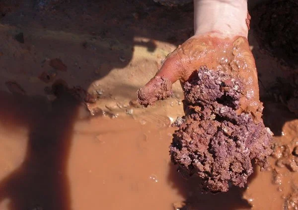 A hand covered in muddy soil holding a clump of wet, purple-brown clay.