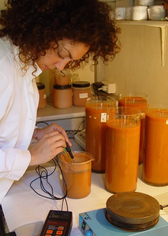 Environmentally Friendly Glazes and Slips: Traditional and Antique Type Ceramic Artefacts