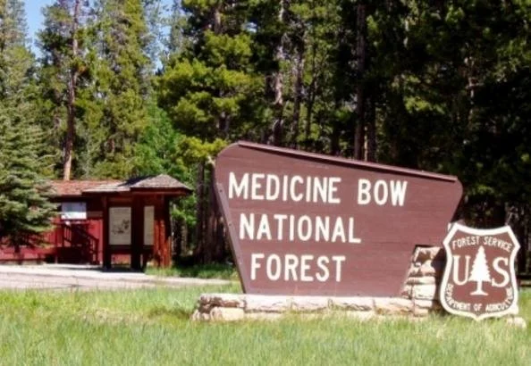 Project Highlight: Medicine Bow National Forest Landscape Vegetation Analysis (LaVA) Project