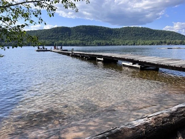 Towell_8370 Medium.jpeg