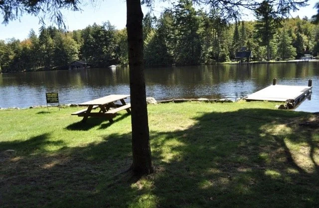 CasaVerde 2023-06-15 at 2.27.20 PM Medium.jpeg