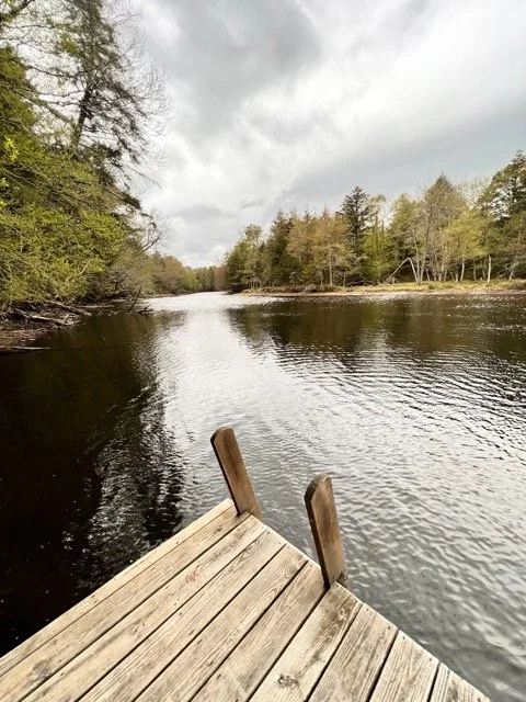 MooseRiverfrontHome_7593 Medium.jpeg