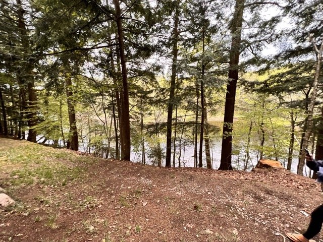 MooseRiverfrontHome_7595 Medium.jpeg