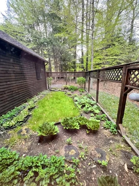 MooseRiverfrontHome_7607 Medium.jpeg