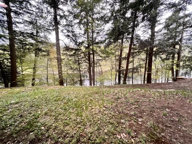 MooseRiverfrontHome_7619 Medium.jpeg