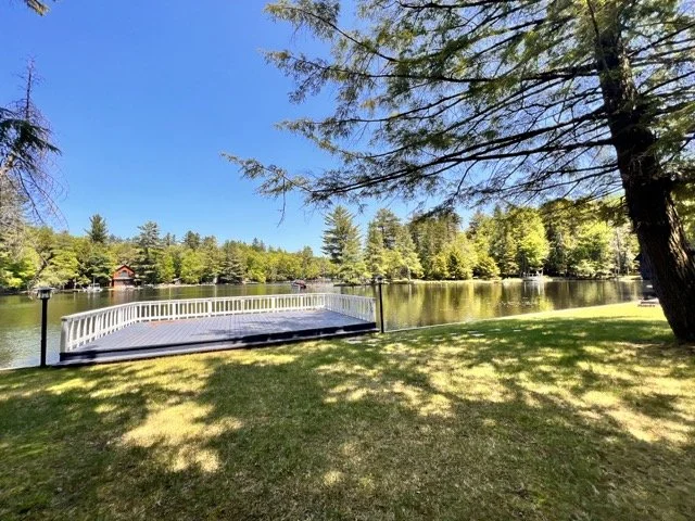 Freidlander_7815 2 Medium.jpeg