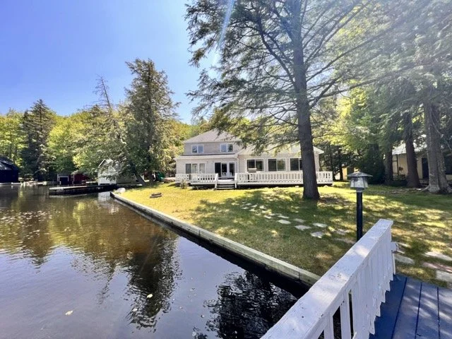 Freidlander_7817 2 Medium.jpeg