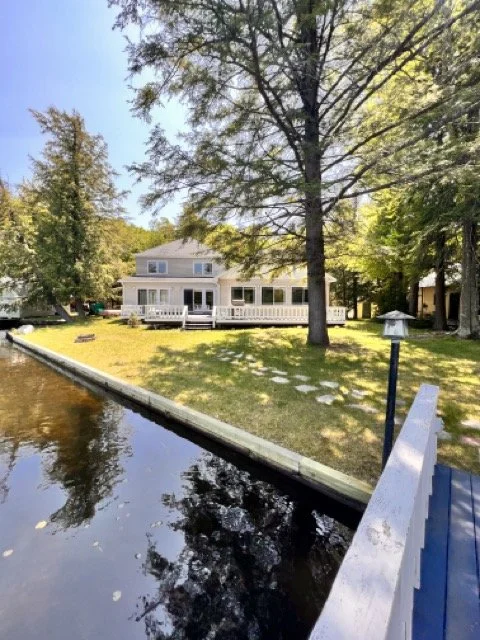 Freidlander_7823 2 Medium.jpeg