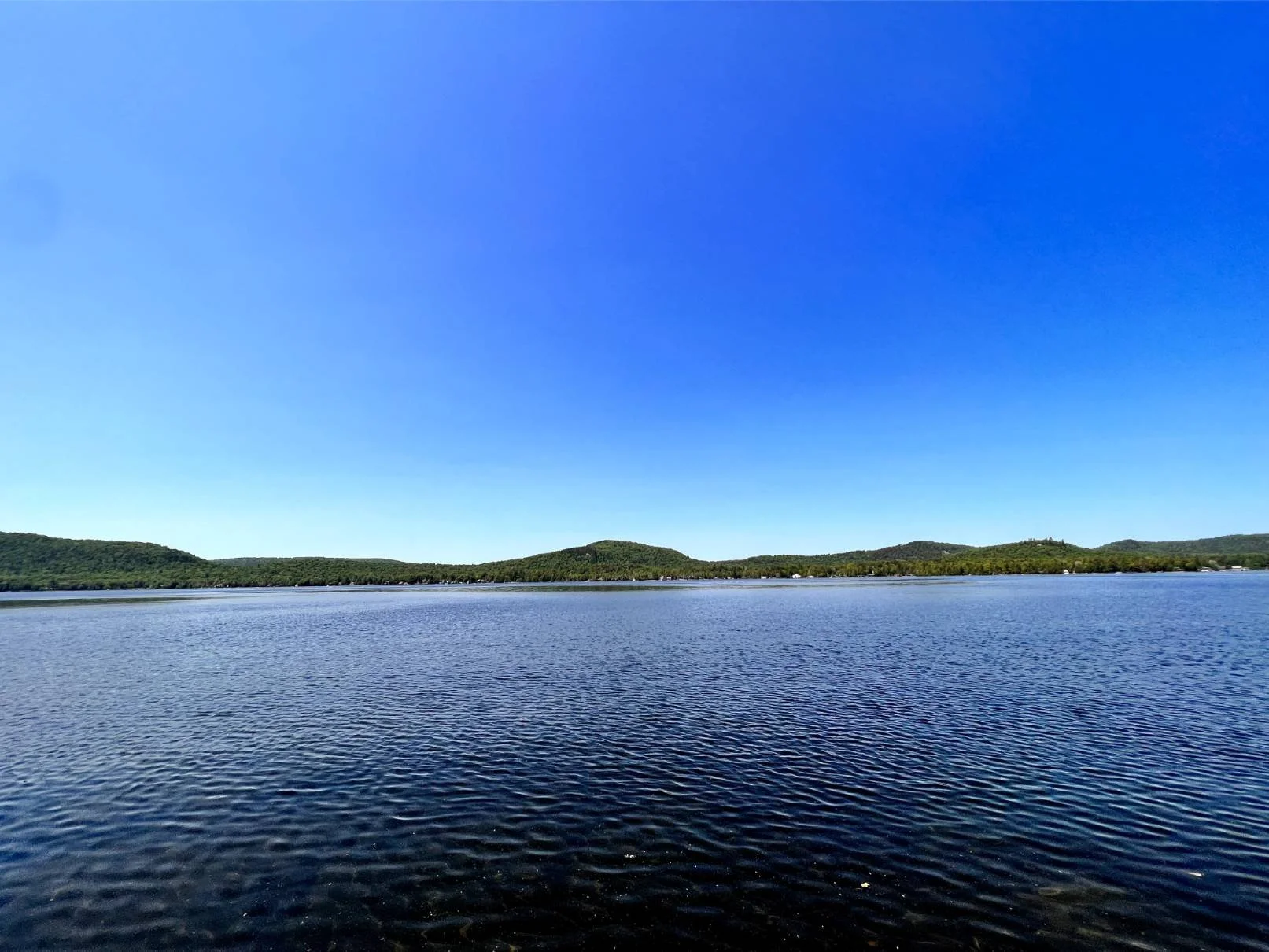 CampRIverdale_7902 2.jpg