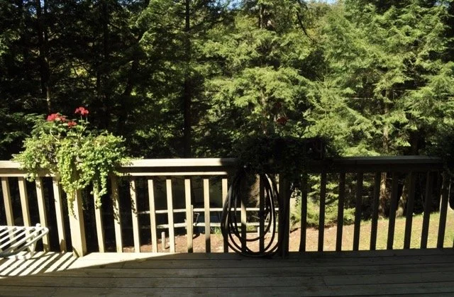 Edwards 2023-06-16 at 1.22.36 PM Medium.jpeg