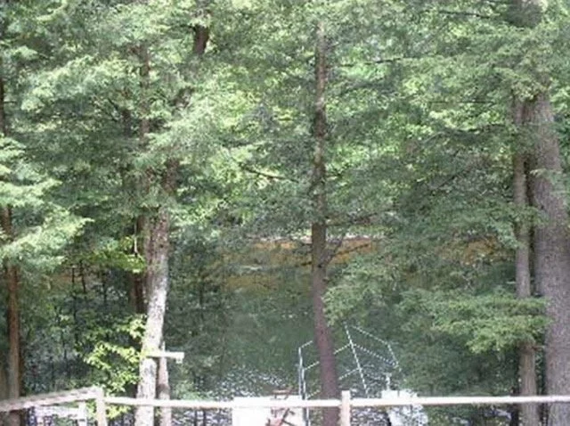 Edwards 2023-06-16 at 1.22.44 PM Medium.jpeg