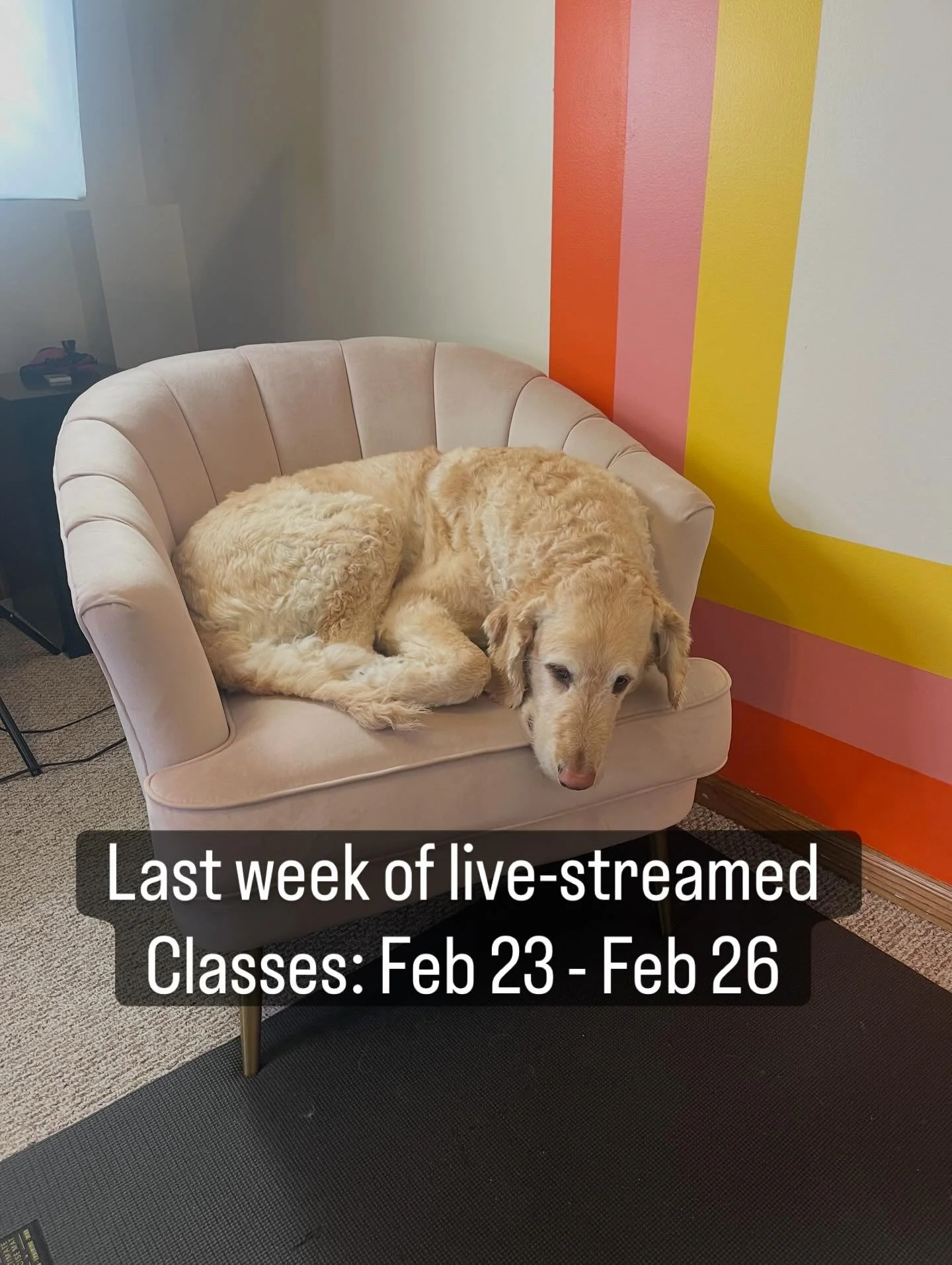 Hello loves 🤍

After a lot of reflection, I&rsquo;ve decided to end the live shows.

This wasn&rsquo;t an easy decision. I believe deeply in this work and in this community. What we built here matters to me.

And the truth is, right now, I need to f