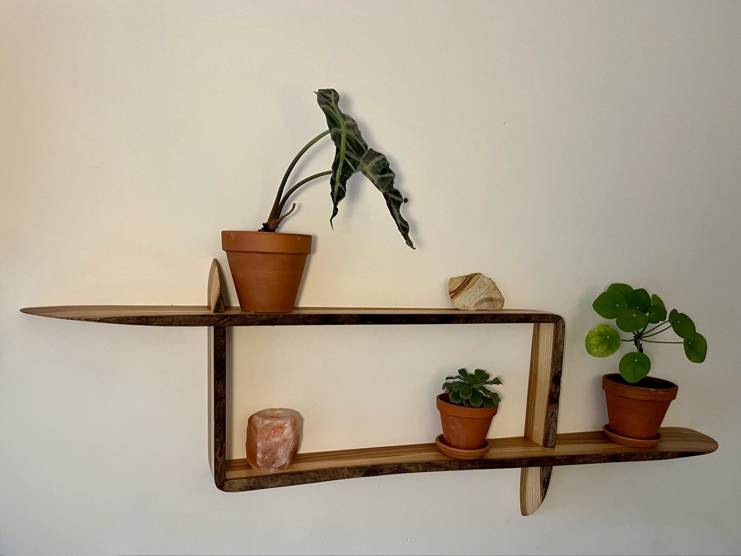 KYRII Hanging Wall Cabinet
Elm with bark
🌱Often the bark and sapwood of a plank are not used, because they are weaker and do not stay beautiful for as long. In this log, the sapwood (the white part) is extra beautiful and wide, so I felt it would be